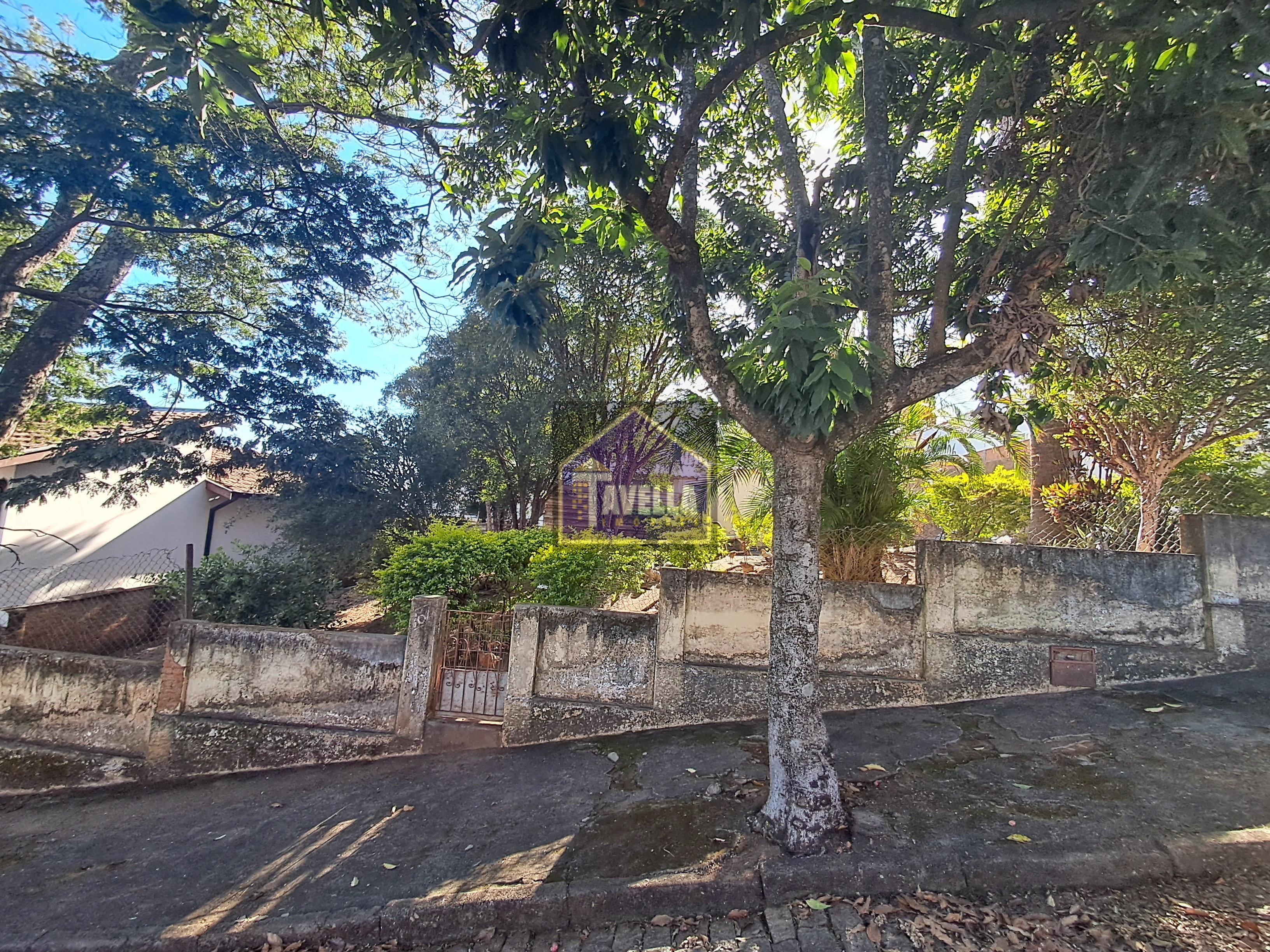 UMA CHÁCARA NO CENTRO DA CIDADE